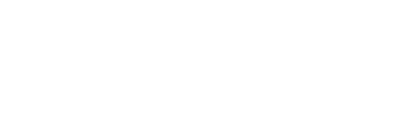 NEW LOGO - Leadership Progress Cycle (WHITE)